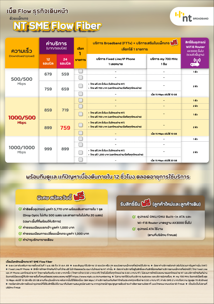 NT SME Flow Fiber — รูปที่ 2